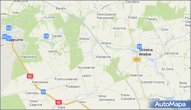 mapa Marzęcice gmina Strzelce Wielkie, Marzęcice gmina Strzelce Wielkie na mapie Targeo
