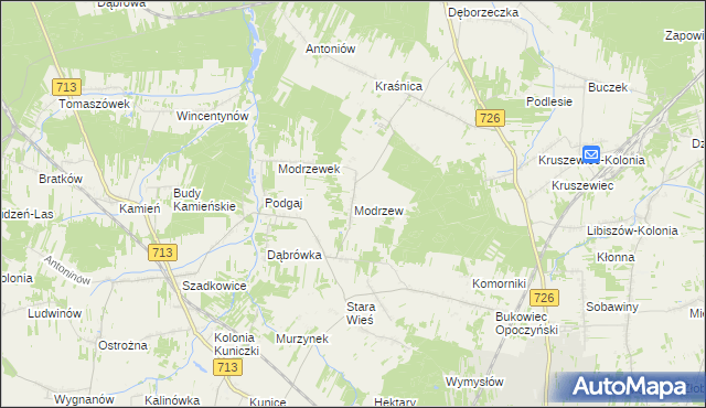 mapa Modrzew gmina Opoczno, Modrzew gmina Opoczno na mapie Targeo