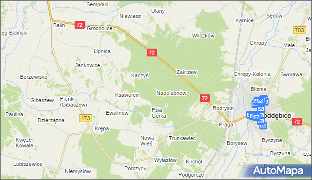 mapa Napoleonów gmina Poddębice, Napoleonów gmina Poddębice na mapie Targeo