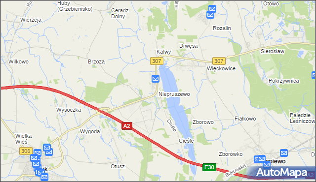 mapa Niepruszewo, Niepruszewo na mapie Targeo