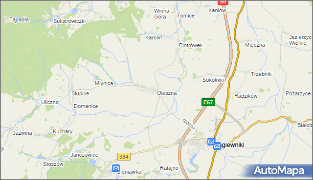 mapa Oleszna, Oleszna na mapie Targeo