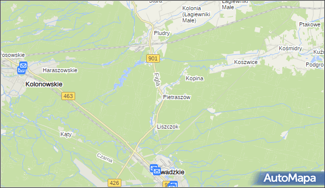 mapa Pietraszów, Pietraszów na mapie Targeo