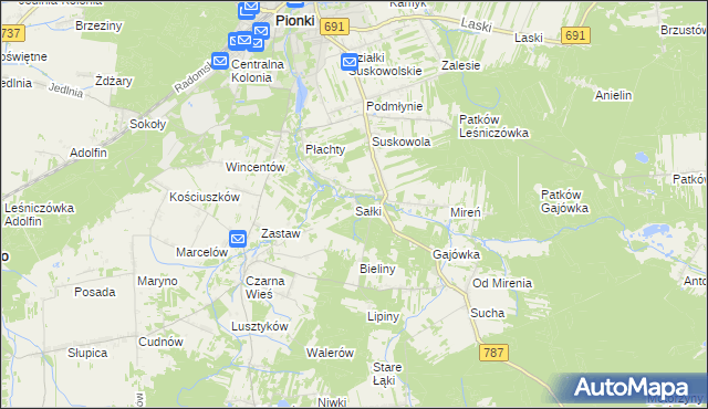 mapa Sałki gmina Pionki, Sałki gmina Pionki na mapie Targeo