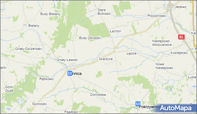 mapa Skarżyce gmina Winnica, Skarżyce gmina Winnica na mapie Targeo
