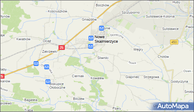 mapa Śliwniki gmina Nowe Skalmierzyce, Śliwniki gmina Nowe Skalmierzyce na mapie Targeo