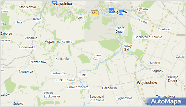 mapa Stary Gaj gmina Wojciechów, Stary Gaj gmina Wojciechów na mapie Targeo