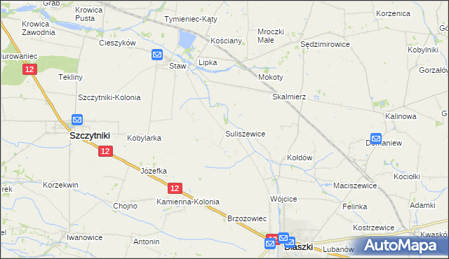 mapa Suliszewice gmina Błaszki, Suliszewice gmina Błaszki na mapie Targeo