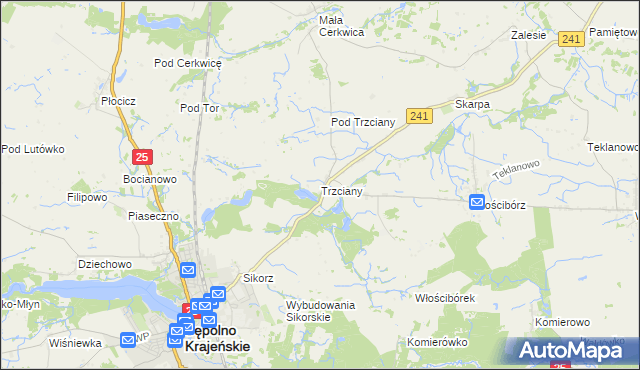 mapa Trzciany gmina Sępólno Krajeńskie, Trzciany gmina Sępólno Krajeńskie na mapie Targeo