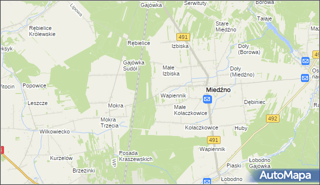 mapa Wapiennik gmina Miedźno, Wapiennik gmina Miedźno na mapie Targeo