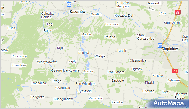 mapa Wielgie gmina Ciepielów, Wielgie gmina Ciepielów na mapie Targeo