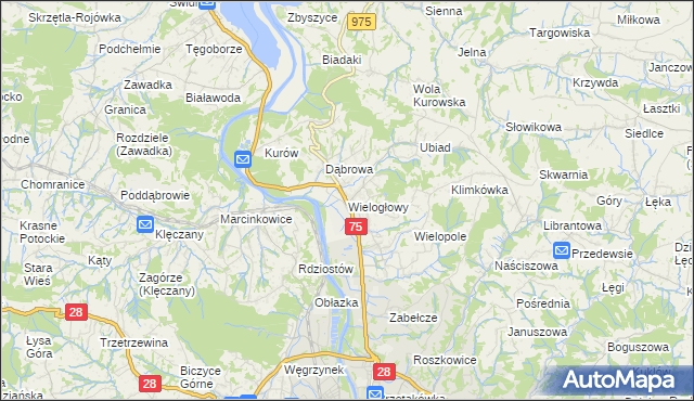 mapa Wielogłowy gmina Chełmiec, Wielogłowy gmina Chełmiec na mapie Targeo