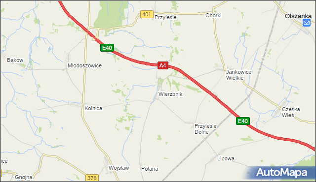 mapa Wierzbnik gmina Grodków, Wierzbnik gmina Grodków na mapie Targeo