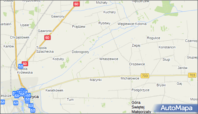mapa Witaszewice, Witaszewice na mapie Targeo