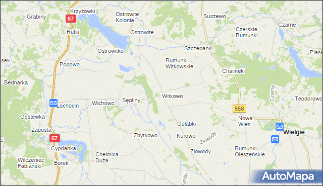 mapa Witkowo gmina Wielgie, Witkowo gmina Wielgie na mapie Targeo