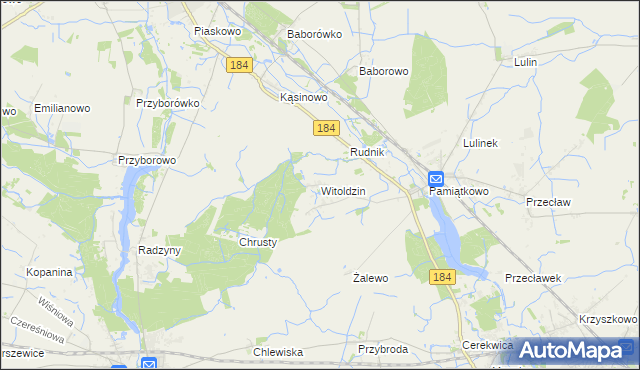 mapa Witoldzin gmina Szamotuły, Witoldzin gmina Szamotuły na mapie Targeo