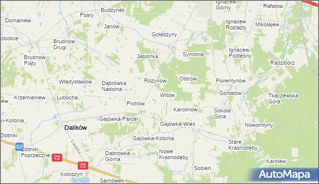 mapa Witów gmina Dalików, Witów gmina Dalików na mapie Targeo