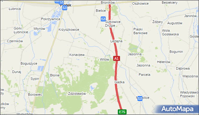 mapa Witów gmina Piątek, Witów gmina Piątek na mapie Targeo