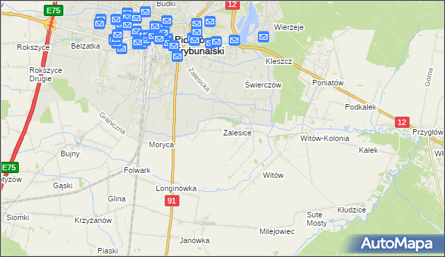 mapa Zalesice gmina Sulejów, Zalesice gmina Sulejów na mapie Targeo