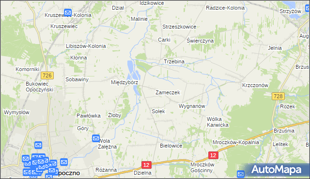 mapa Zameczek gmina Opoczno, Zameczek gmina Opoczno na mapie Targeo