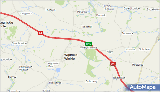 mapa Wierzchowice gmina Wądroże Wielkie, Wierzchowice gmina Wądroże Wielkie na mapie Targeo