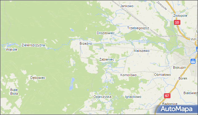 mapa Żabieniec gmina Lipno, Żabieniec gmina Lipno na mapie Targeo