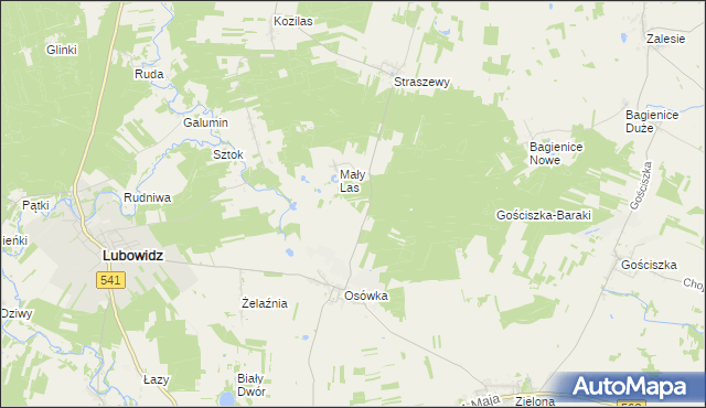 mapa Lisiny gmina Lubowidz, Lisiny gmina Lubowidz na mapie Targeo