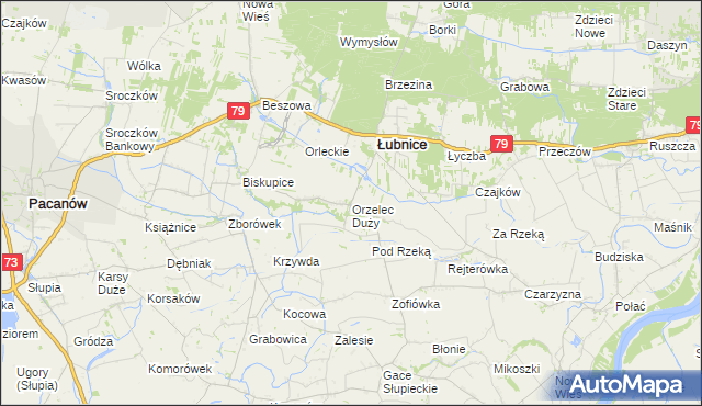 mapa Orzelec Duży, Orzelec Duży na mapie Targeo