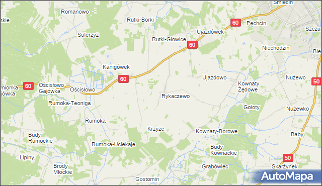 mapa Rykaczewo gmina Ciechanów, Rykaczewo gmina Ciechanów na mapie Targeo