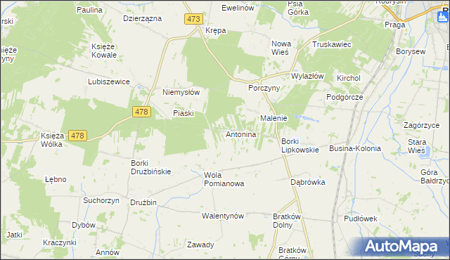 mapa Antonina gmina Poddębice, Antonina gmina Poddębice na mapie Targeo