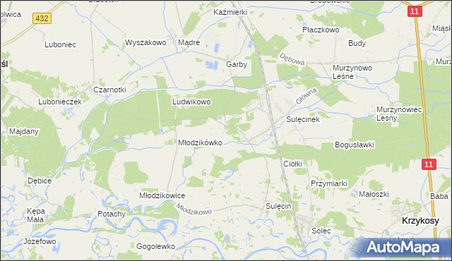 mapa Borowo gmina Krzykosy, Borowo gmina Krzykosy na mapie Targeo