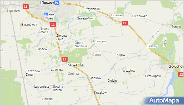 mapa Cieśle gmina Gołuchów, Cieśle gmina Gołuchów na mapie Targeo