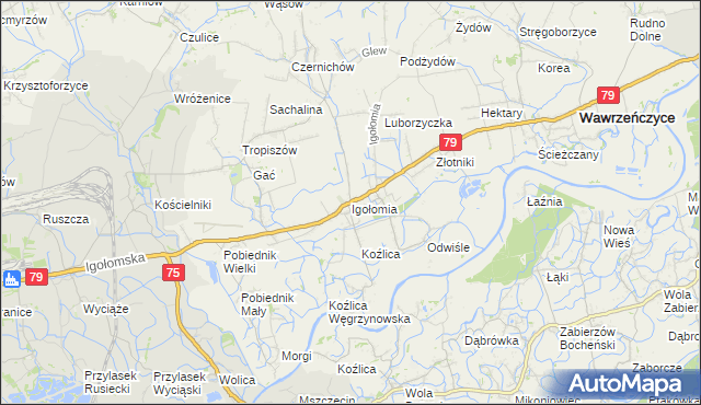 mapa Igołomia, Igołomia na mapie Targeo