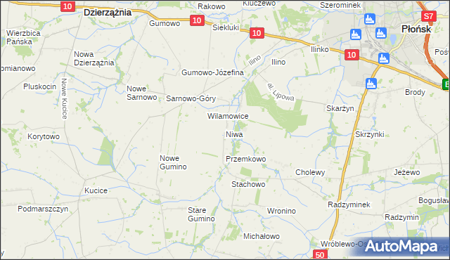 mapa Niwa gmina Dzierzążnia, Niwa gmina Dzierzążnia na mapie Targeo