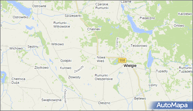 mapa Nowa Wieś gmina Wielgie, Nowa Wieś gmina Wielgie na mapie Targeo