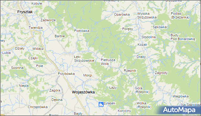 mapa Pietrusza Wola, Pietrusza Wola na mapie Targeo