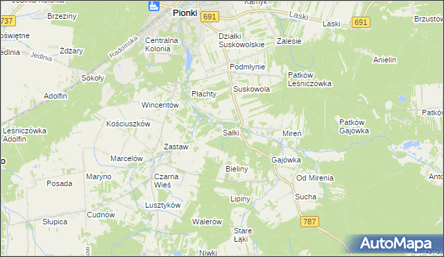 mapa Sałki gmina Pionki, Sałki gmina Pionki na mapie Targeo