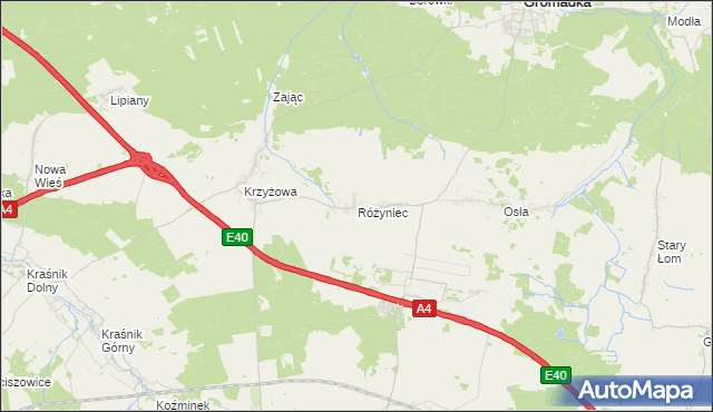 mapa Różyniec, Różyniec na mapie Targeo