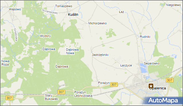 mapa Jastrzębniki gmina Opalenica, Jastrzębniki gmina Opalenica na mapie Targeo