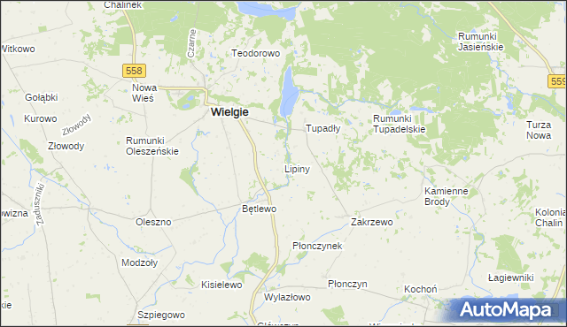 mapa Lipiny gmina Wielgie, Lipiny gmina Wielgie na mapie Targeo