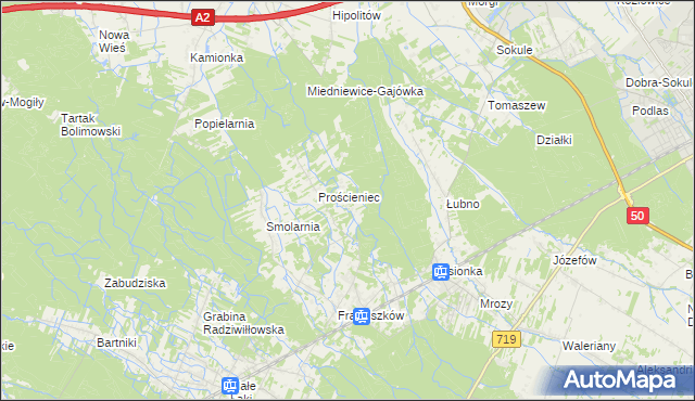 mapa Antoniew gmina Wiskitki, Antoniew gmina Wiskitki na mapie Targeo