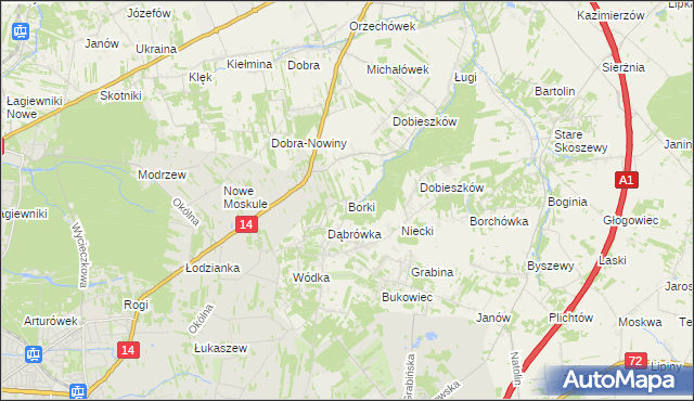 mapa Borki gmina Nowosolna, Borki gmina Nowosolna na mapie Targeo