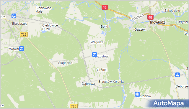 mapa Brzustów gmina Inowłódz, Brzustów gmina Inowłódz na mapie Targeo