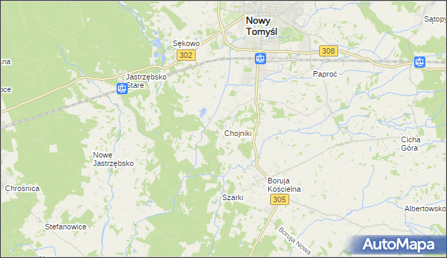 mapa Chojniki gmina Nowy Tomyśl, Chojniki gmina Nowy Tomyśl na mapie Targeo