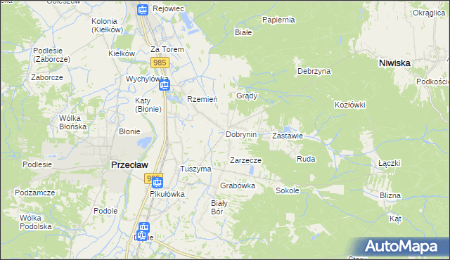 mapa Dobrynin, Dobrynin na mapie Targeo