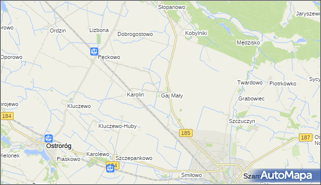 mapa Gaj Mały gmina Obrzycko, Gaj Mały gmina Obrzycko na mapie Targeo