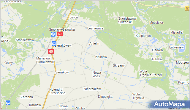mapa Halinów gmina Gostynin, Halinów gmina Gostynin na mapie Targeo