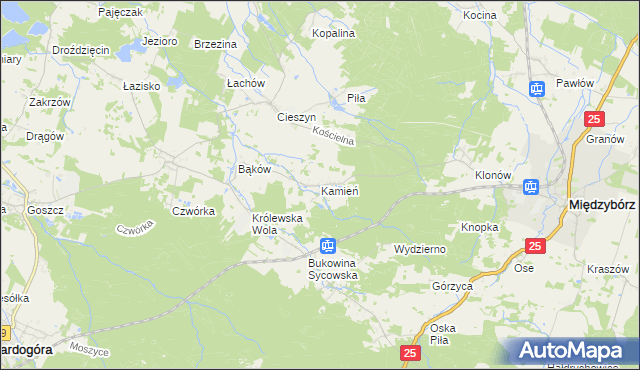 mapa Kamień gmina Międzybórz, Kamień gmina Międzybórz na mapie Targeo