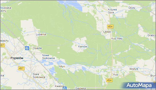 mapa Kaniów gmina Popielów, Kaniów gmina Popielów na mapie Targeo