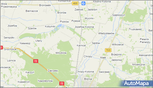 mapa Karnice gmina Poddębice, Karnice gmina Poddębice na mapie Targeo