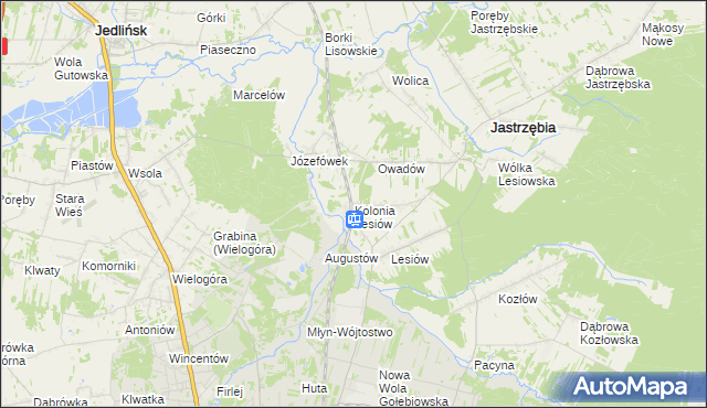 mapa Kolonia Lesiów, Kolonia Lesiów na mapie Targeo